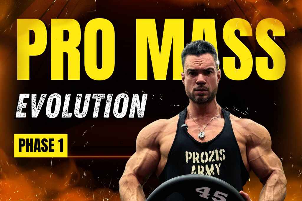 Pro Mass Evolution – Phase 1