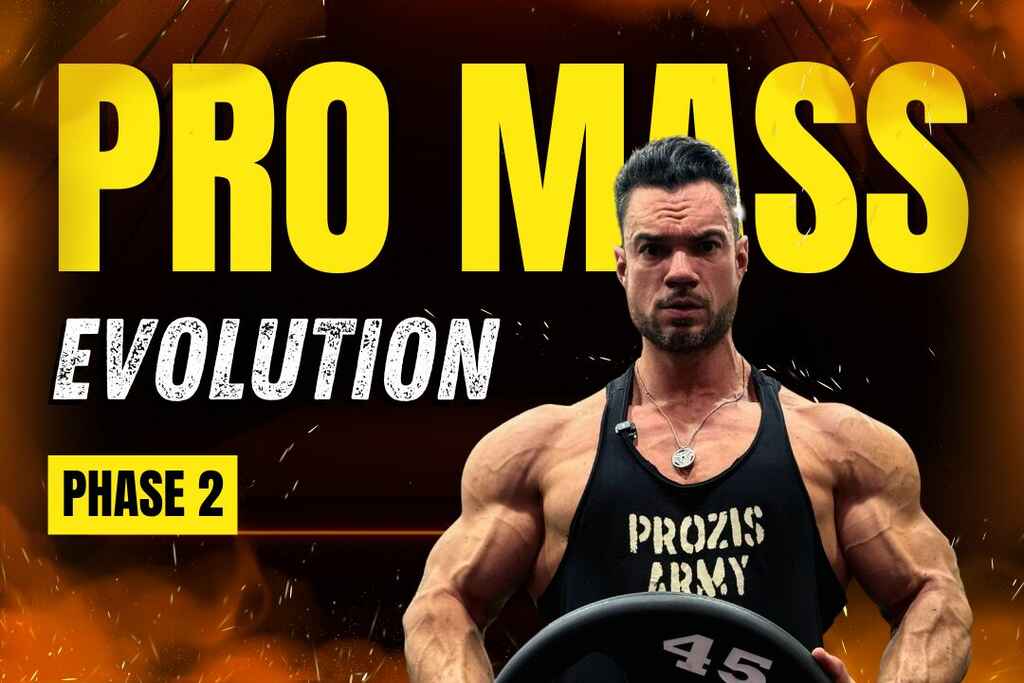 Pro Mass Evolution – Phase 2